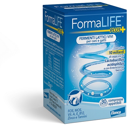 FORMALIFE PLUS FERMENTI LATTICI VIVI 30 COMPRESSE APPETIBILI - farmanauta.it